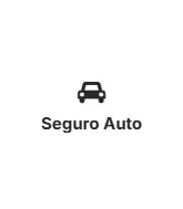 Seguro Auto