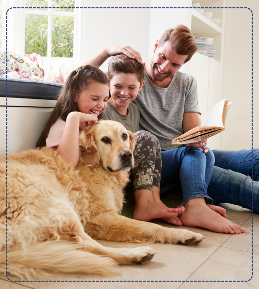 Como escolher o seguro ideal para você?